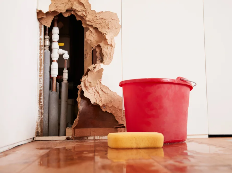 Dinaso Bauservice Mönchengladbach Unsere Leistungen Wasserschaden