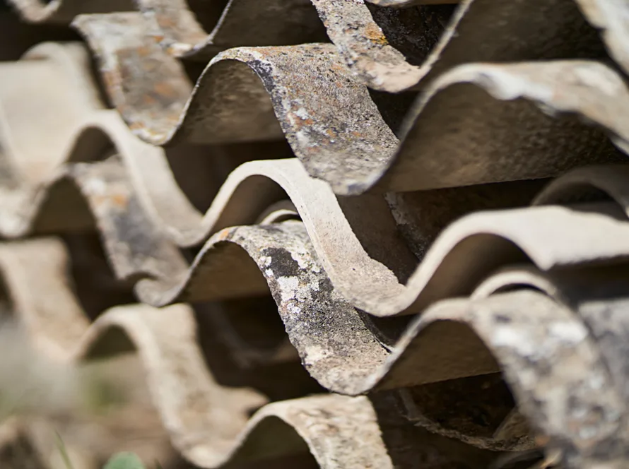 Dinaso Bauservice Über Uns Leistung Asbest und Entsorgung